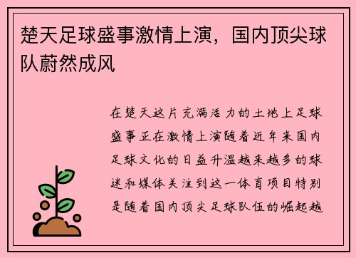 楚天足球盛事激情上演，国内顶尖球队蔚然成风