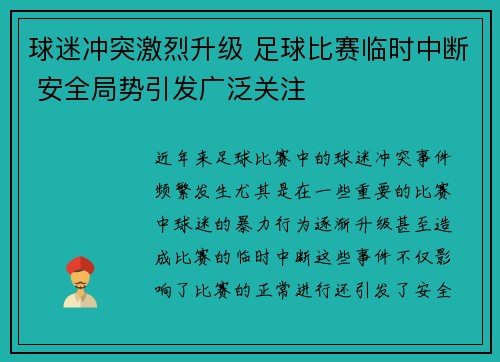 球迷冲突激烈升级 足球比赛临时中断 安全局势引发广泛关注